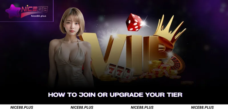 How to Join or Upgrade Your Tier