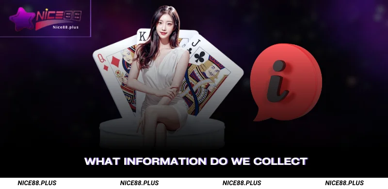 Nice88 Privacy Policy – How We Collect, Use & Secure Data 1 What Information Do We Collect