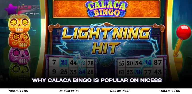 Why Calaca Bingo Is Popular on Nice88